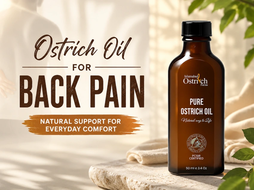 Islamabad Ostrich Oil for Back Pain_ A Natural Massage Option